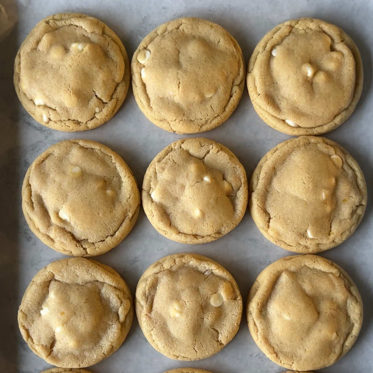 Lemon White Chocolate Chip